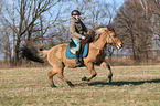 woman rides Icelandic horse