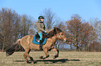 woman rides Icelandic horse