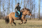 woman rides Icelandic horse