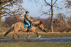 woman rides Icelandic horse