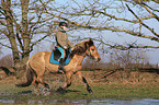 woman rides Icelandic horse