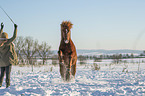 woman and Icelandic horse