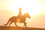 girl and Icelandic horse