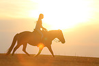 girl and Icelandic horse