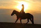 girl and Icelandic horse