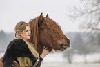 Icelandic stallion