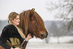 Icelandic stallion