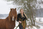 Icelandic stallion