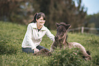 Icelandic horse foal