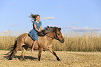 Icelandic horse