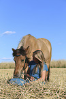 Icelandic horse