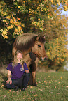 Icelandic horse