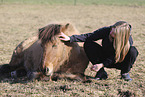 Icelandic horse