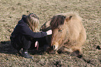 Icelandic horse