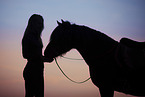 Icelandic horse