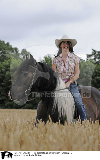 Frau reitet Irish Tinker / woman rides Irish Tinker / AP-06331