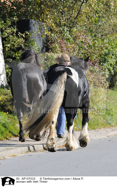 Frau mit Irish Tinker / woman with Irish Tinker / AP-07033