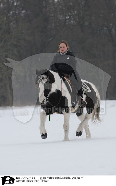 woman rides Irish Tinker / AP-07165