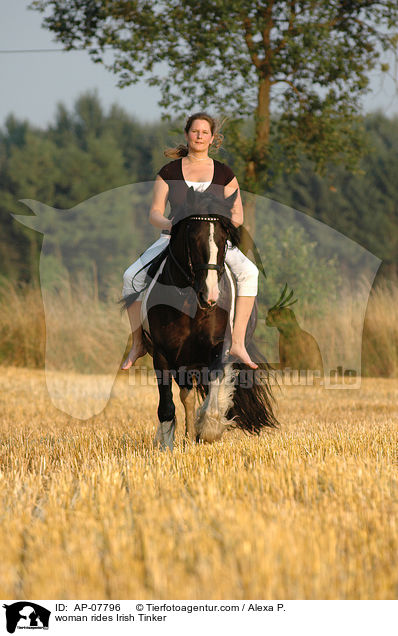 Frau reitet Irish Tinker / woman rides Irish Tinker / AP-07796