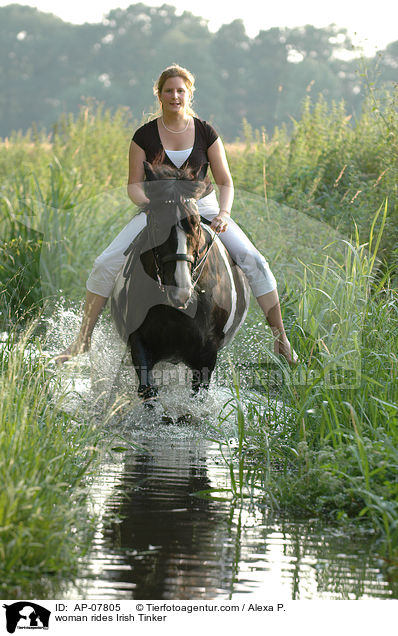 Frau reitet Irish Tinker / woman rides Irish Tinker / AP-07805