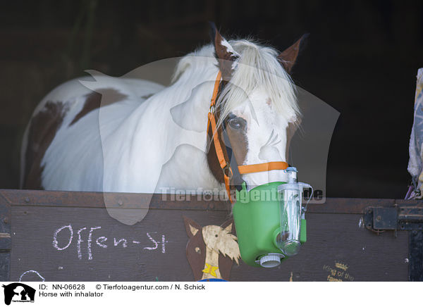 Horse with inhalator / NN-06628