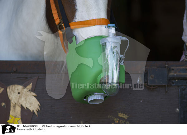 Pferd mit Inhalator / Horse with inhalator / NN-06630