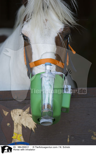 Pferd mit Inhalator / Horse with inhalator / NN-06631