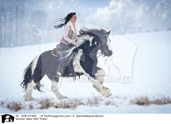 Frau reitet Irish Tinker / woman rides Irish Tinker / CDE-01494