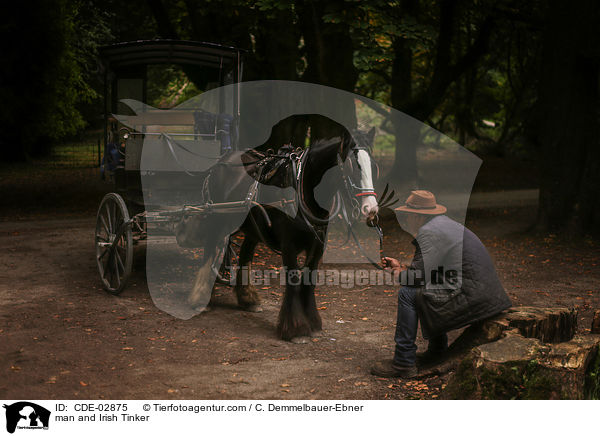 Mann und Irish Tinker / man and Irish Tinker / CDE-02875