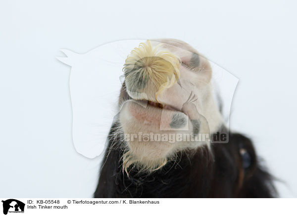 Irish Tinker Maul / Irish Tinker mouth / KB-05548