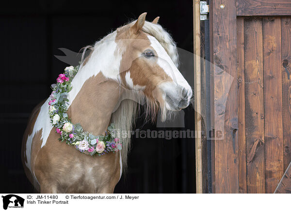 Irish Tinker Portrait / Irish Tinker Portrait / JM-11480