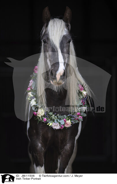 Irish Tinker Portrait / Irish Tinker Portrait / JM-11506