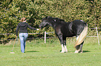 woman with Irish Tinker