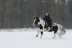 woman rides Irish Tinker