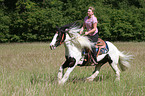 woman rides Irish Tinker