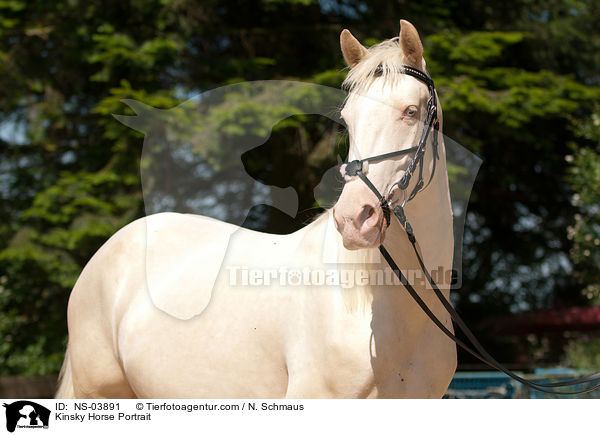 Kinsky Horse Portrait / NS-03891