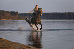 woman rides knabstrup horse