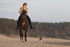 woman with dog rides knabstrup horse