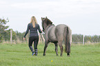 woman and Konik