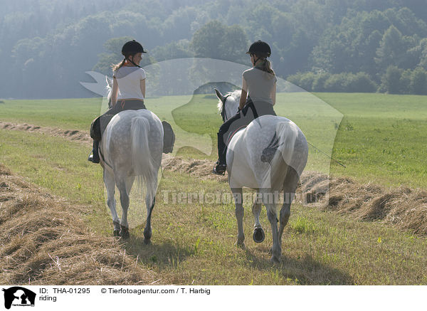 Freizeitreiten / riding / THA-01295