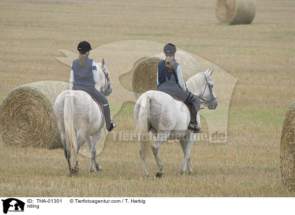 Freizeitreiten / riding / THA-01301