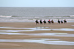 riders on the beach