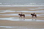 riders on the beach