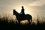 woman with horse at sundown