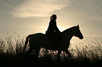 woman with horse at sundown