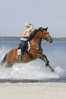 woman rides Lewitzer