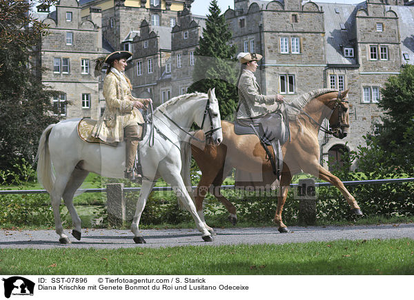 Diana Krischke mit Genete Bonmot du Roi und Lusitano Odeceixe / Diana Krischke mit Genete Bonmot du Roi und Lusitano Odeceixe / SST-07896