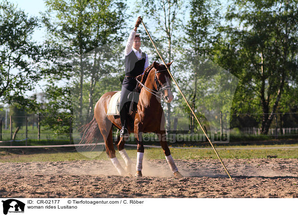 Frau reitet Lusitano / woman rides Lusitano / CR-02177