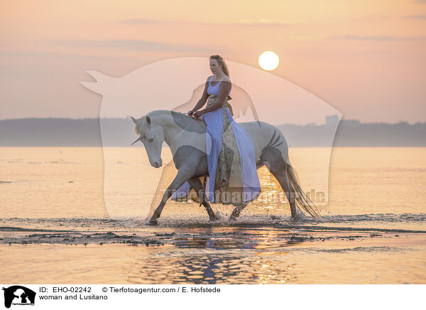 woman and Lusitano / EHO-02242