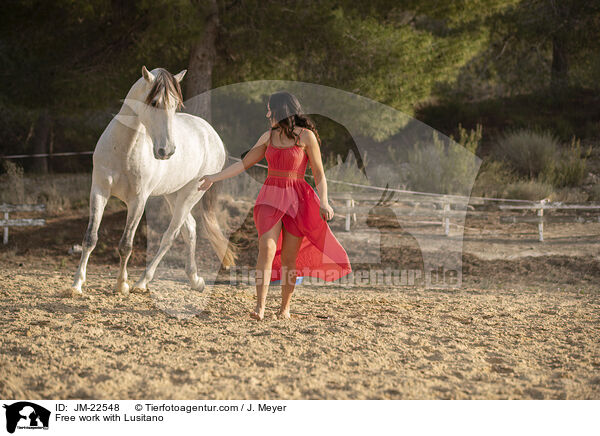 Freiarbeit mit Lusitano / Free work with Lusitano / JM-22548